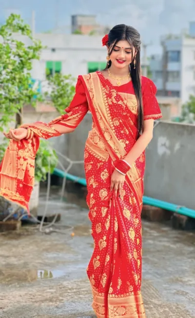 Jacquard Border Soft Silk Katan Saree for Reception Wear