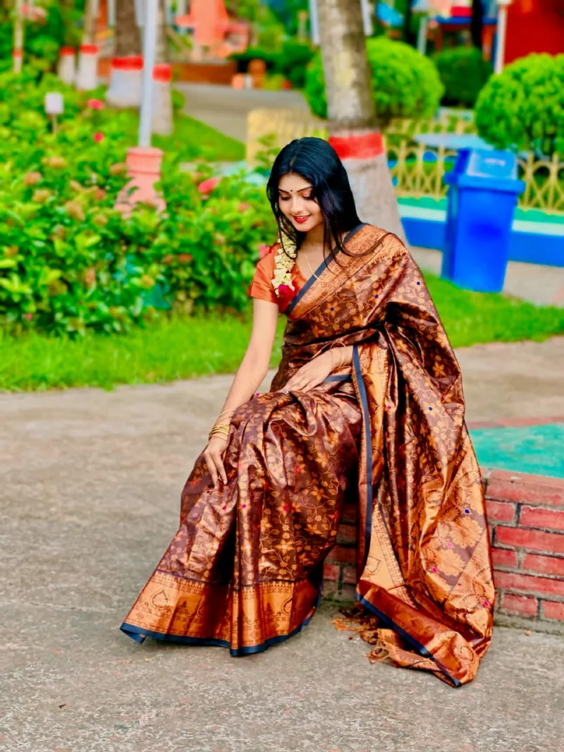 Women's Banarasi Silk Katan Saree, Golden Thread, 3 Colours