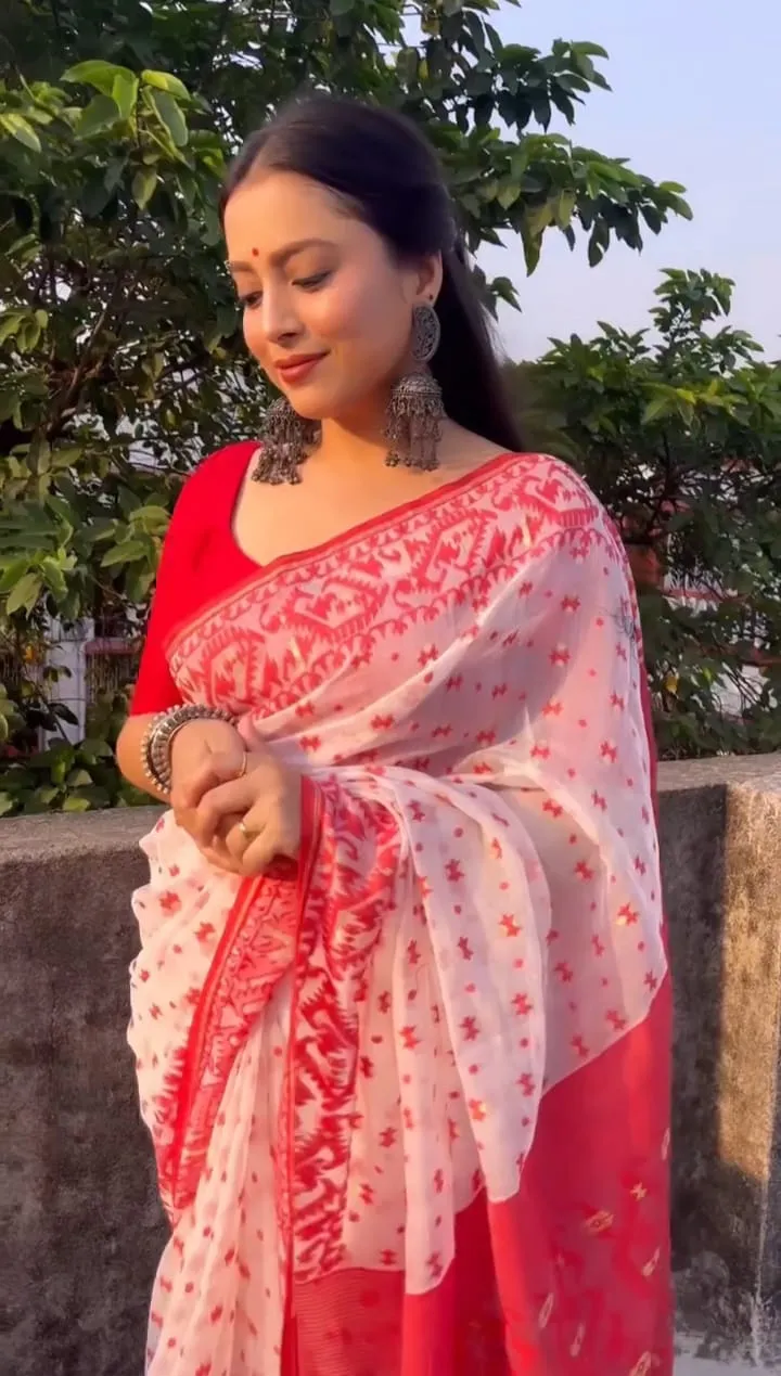 Resham Silk Saree for Women, Screen Print and Dollar Blouse