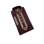 Premium Stylish Panjabi