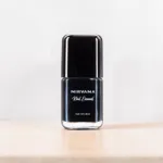 Nirvana Nail Enamel - Black Swan 38 (China)