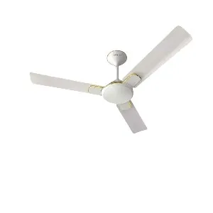 Havells Enticer 56'' (Pearl White Gold) H -213