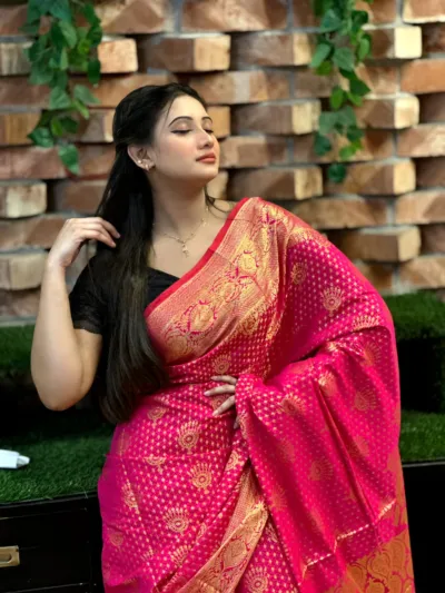 Silk Katan Banarasi Saree with Golden Zari Work, 12 Haath
