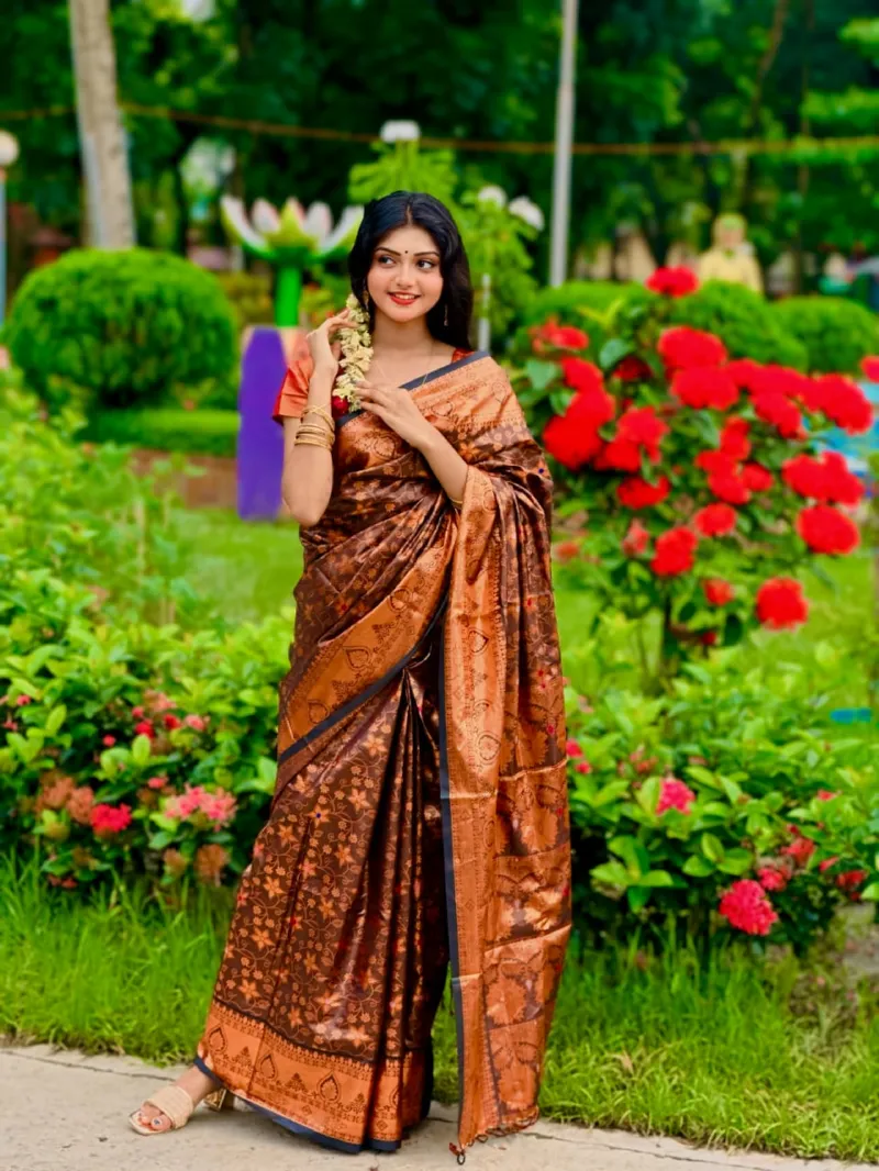 Women's Banarasi Silk Katan Saree, Golden Thread, 3 Colours