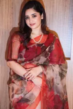 Chanduri Silk Saree with Tasselled Anchal, 12.5 Haath, 6 Colours