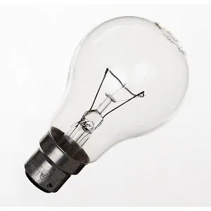 Super Star 100 watt GLS Blub