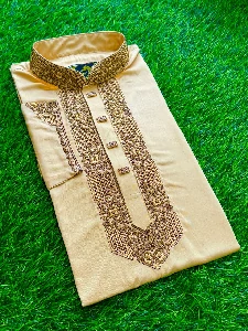 New Embroidery Panjabi