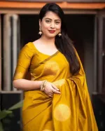 Silk Saree with Afsan Screen Print and Blouse Piece, 6 Colours