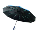 Premium 12-Ribs Automatic Dual-Person Umbrella with Fiber Handle