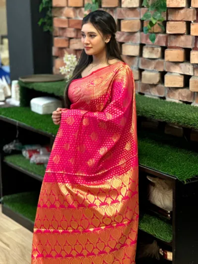 Katan Banarasi Saree, Full Body Zari Thread Work, No Blouse