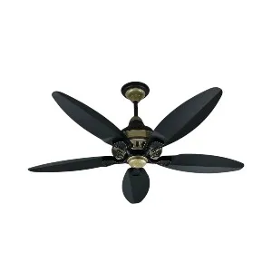 SK Grace 56" Inverter with Remote Ceiling fan Black Gold SK-205