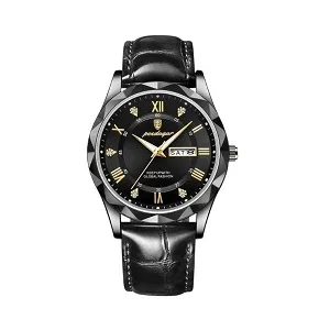 Poedagar Luxury Men's Watch