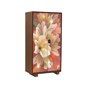 Regal Household Metal Almirah Multi Color