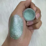 Everly Beauties Duochrome Loose Pigment Series #303 Chill (China)