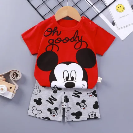 Baby Pure Cotton T-Shirt and Pant Combo Set, 6M to 18-24M