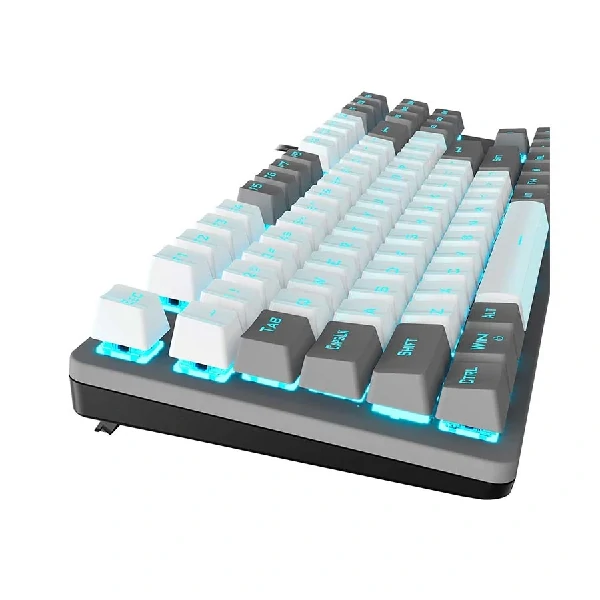 Aula F3287 (Blue Switch) Wired White & Grey Mechanical Gaming Keyboard