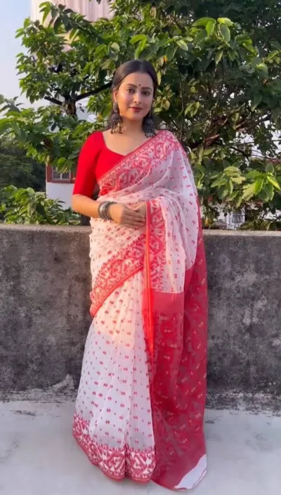 Resham Silk Saree for Women, Screen Print and Dollar Blouse