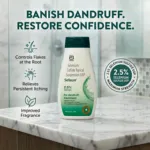 Abbott Selsun 2.5% Strenght For Dandruff Treatment 120ml (India)