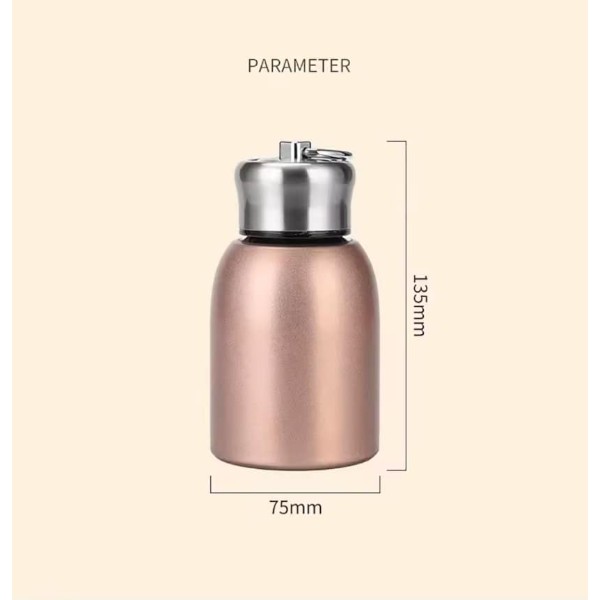 Mini Vacuum Insulated Tumbler Stainless Steel 300ml