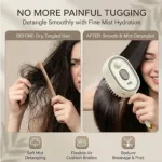Electric Spray Retractable Air Cushion Comb