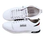 Luxury Men's Casual Shoes-FS005