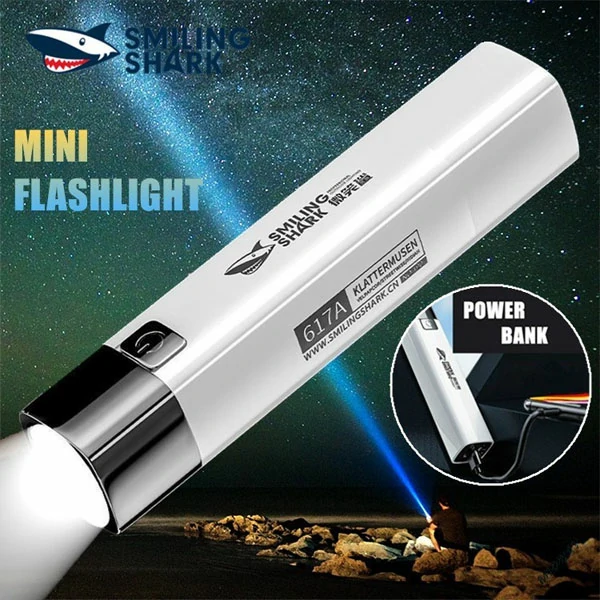 USB Rechargeable Flashlight With Power Bank