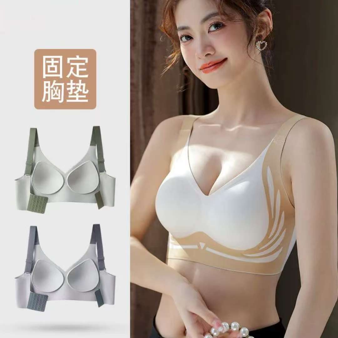 Women's Seamless Wire-Free Bra, Sizes M to XXL