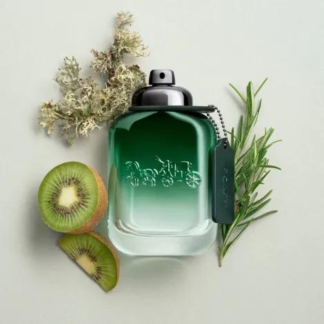 COACH New York Green Eau De Toilette Spray 100ml (France)