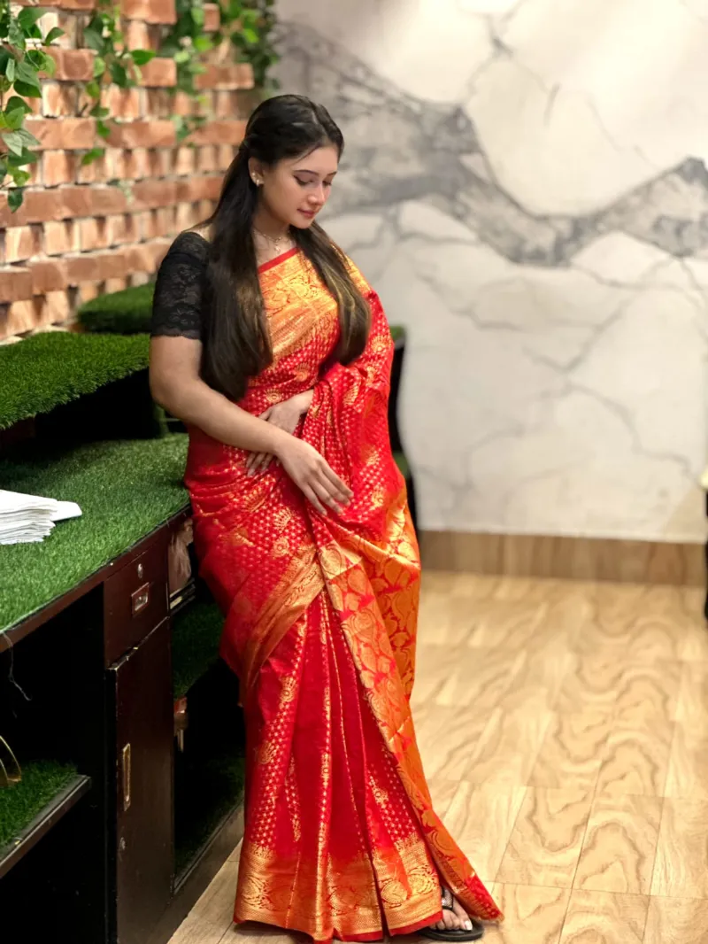 Katan Banarasi Saree, Full Body Zari Thread Work, No Blouse