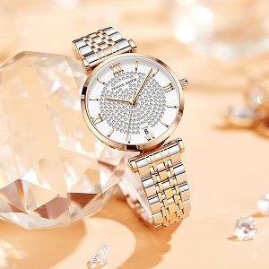 Trsoye Women Ladice CHAIN WATCH (tow tone)