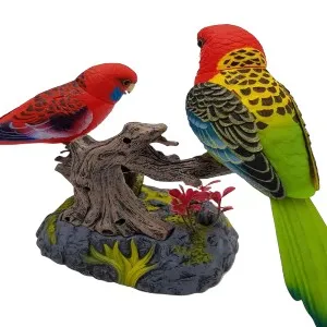 Ensemble Beautiful Birds