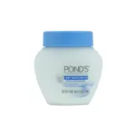 Pond's Dry Skin Facial Moisturizer 111g (USA)