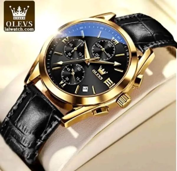 OLEVS 2872 Men Waterproof Watch Luxury Brand Date Sport Leather Luminous Clock