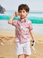 Boys' Shirt and Pant Set, 6 and 8 Years, 3 Colours
