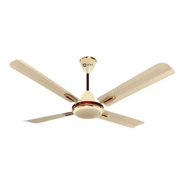 Orient Quadro 56" (Metallic Ivory Cherry) O-121