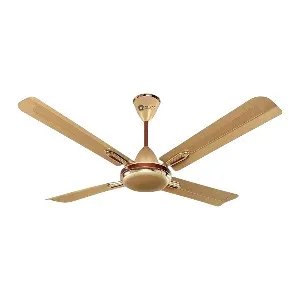 Orient Quadro 56" (Golden Chocolate) O-119
