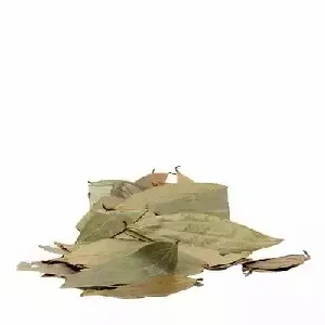Bay Leaf (Tejpata)