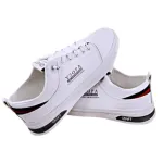 Luxury Men's Casual Shoes-FS005