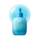 Eqqualberry HYALTOIN Flooding Serum 30ml (Korea)