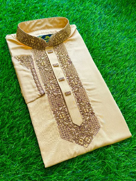 New Embroidery Panjabi