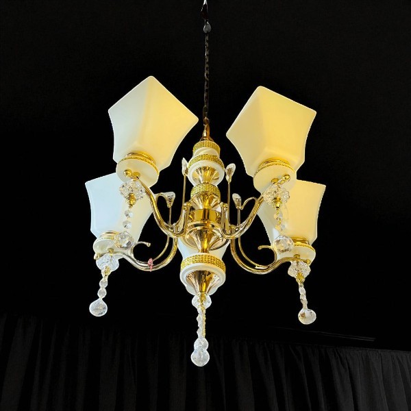 Modern NamberLily Chandelier Hanging 3 color Light (QL-8620-5)