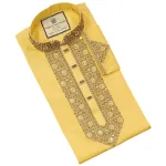Premium Stylish Panjabi