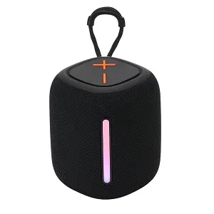 BS-55D Portable High-quality Wireless BT Speaker