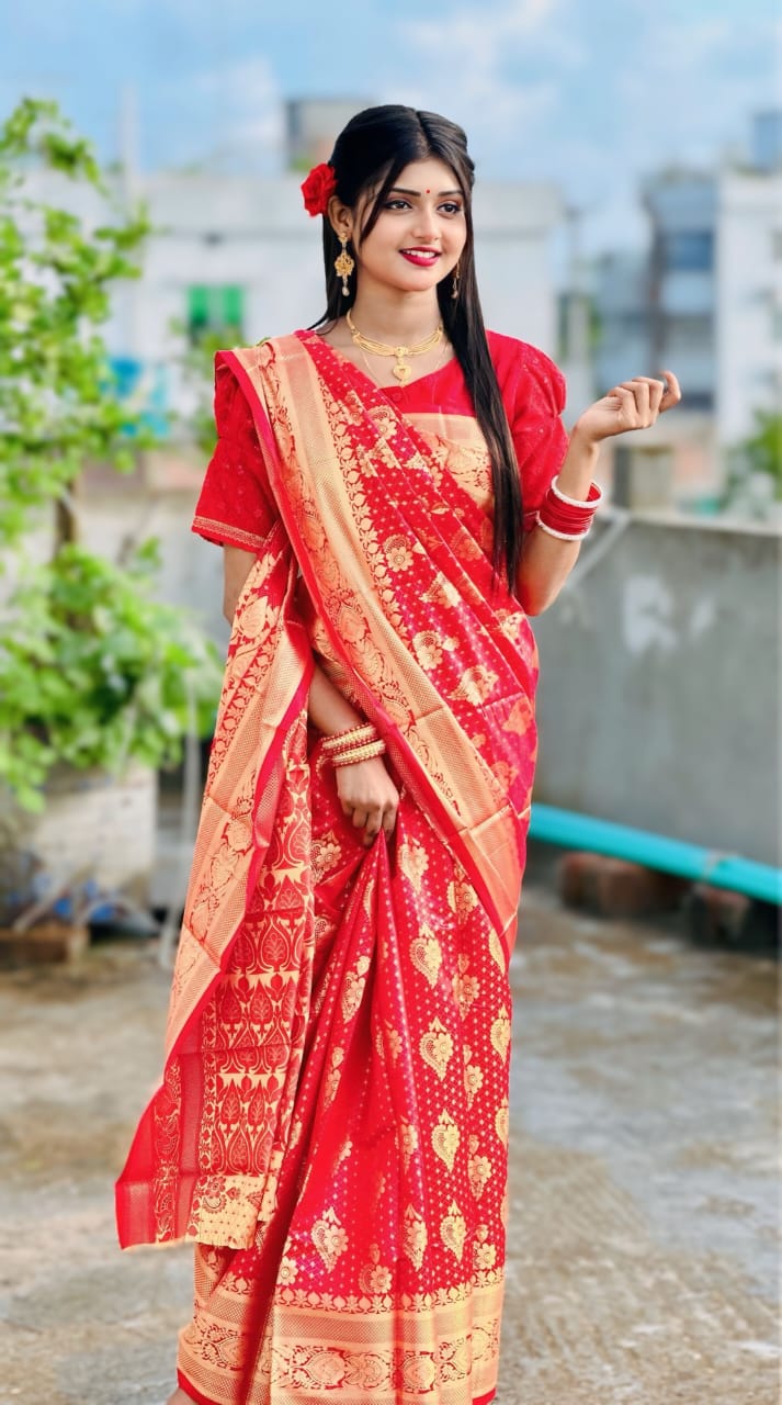 Jacquard Border Soft Silk Katan Saree for Reception Wear