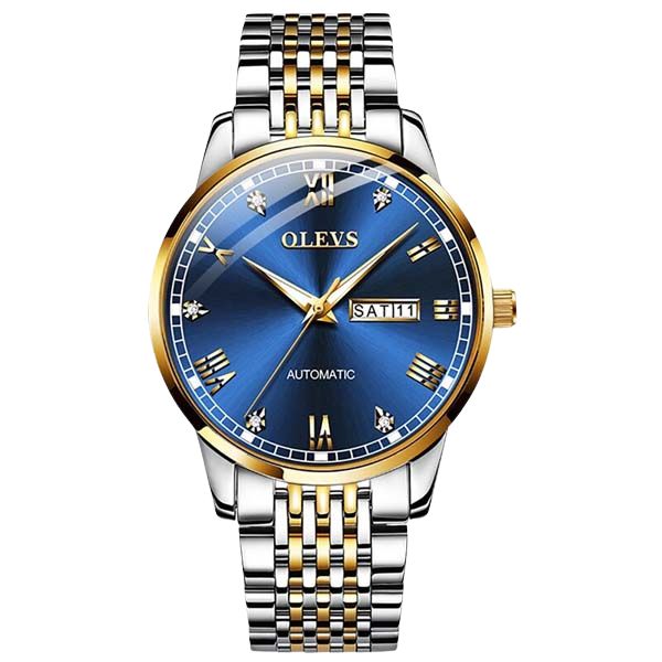 OLEVS 6602 Luxury Watch