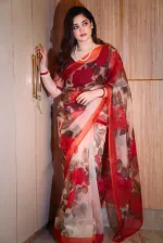 Chanduri Silk Saree with Tasselled Anchal, 12.5 Haath, 6 Colours