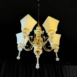 Modern NamberLily Chandelier Hanging 3 color Light (QL-8620-5)