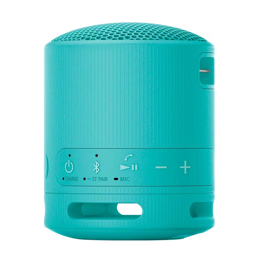 Sony SRS-XB100 Blue Portable Bluetooth Speaker