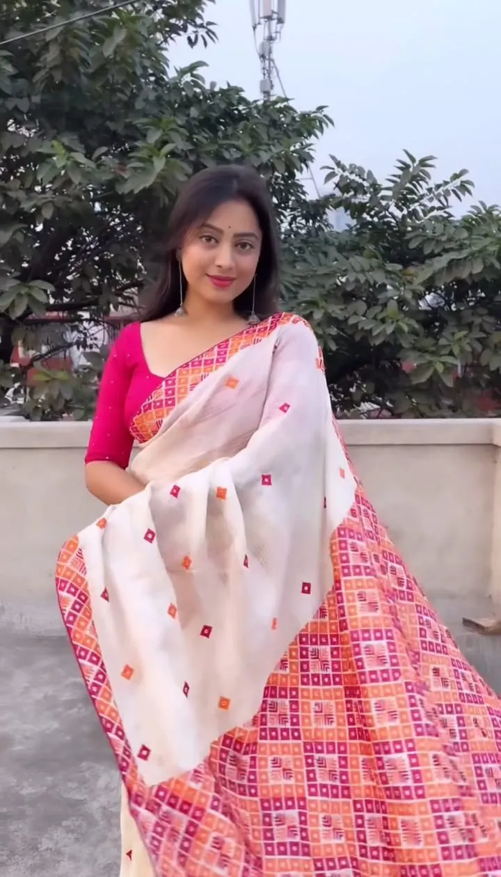 Resham Silk Screen Print Saree with Dollar Work Blouse Piece