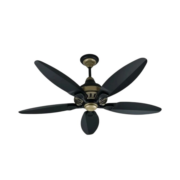 SK Grace 56" Inverter with Remote Ceiling fan Black Gold SK-205